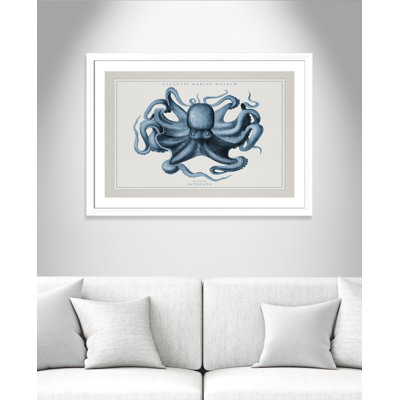 «Atlantic Marine Museum Octopus II», cadre photo