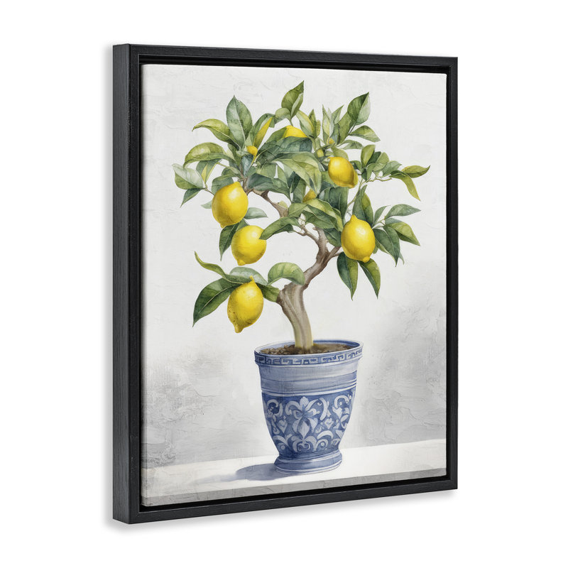 Cadre flottant traditionnel en forme de citronnier, par Kim Allen, H 31 po x l 25 po, Cadre flottant noir de jais