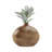 Handcrafted Earthenware Pottery Vase with Organic Shape and Textured Detailing