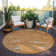  Machine Washable Indoor/Outdoor Chayden ACN1048 Rug