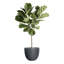Pot à fleur Dorlis Fiberstone-881441044-809609163