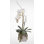 Real Touch White Phalaenopsis Orchid with Succulents in a Silver Ceramic Pot