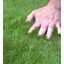 Brialle 30mm Plush Pet-Friendly, Premium Artificial Grass for Patio-1m (3'3") x 4m (13'1") - 4m²