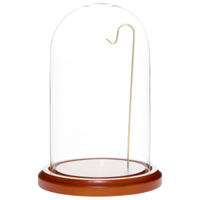 Cloche de dôme en verre pour montre / ornement 4 "x 7"