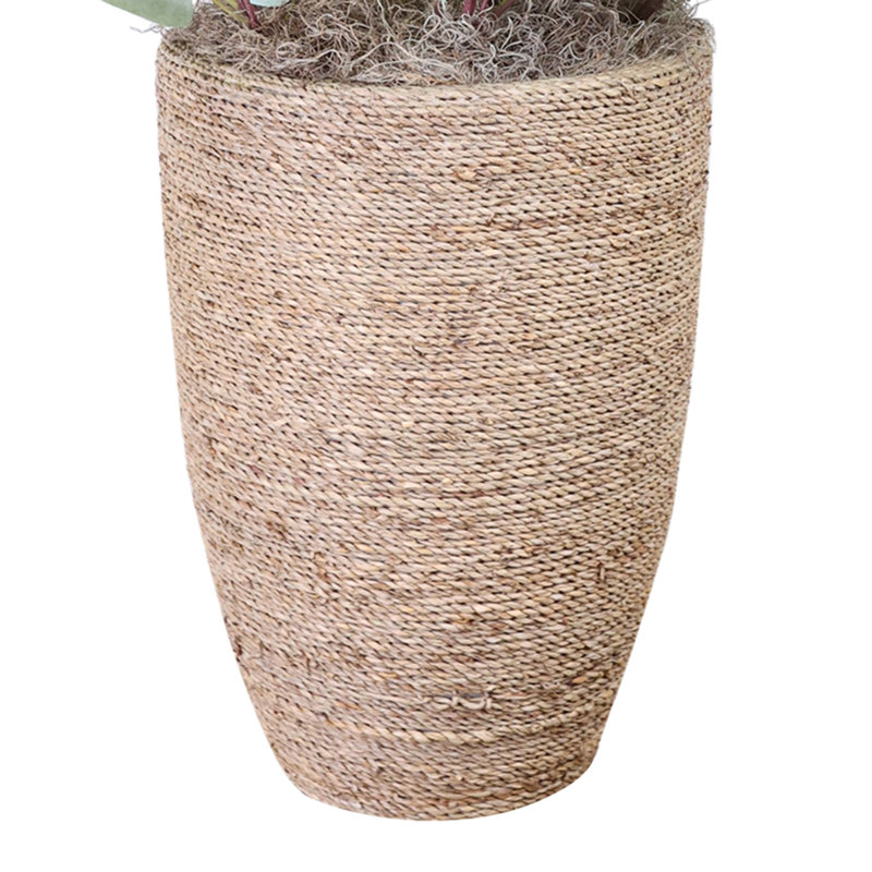 Eucalyptus disposés dans un pot de ciment en paille