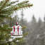 Polyresin Bonavista Ornament- Set of 4