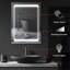 Versatile Stainless Steel Wall-Mounted Medicine Cabinet With Adjustable LED Lighting And Ample Storage
