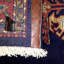 Oveta Oriental Area Rug in Navy