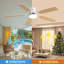 Ventilateur de plafond Mihane avec lumières DEL-1386917482-1386917483