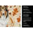 Sable Collie Heirloom Fall Kitchen Towel-1218231355