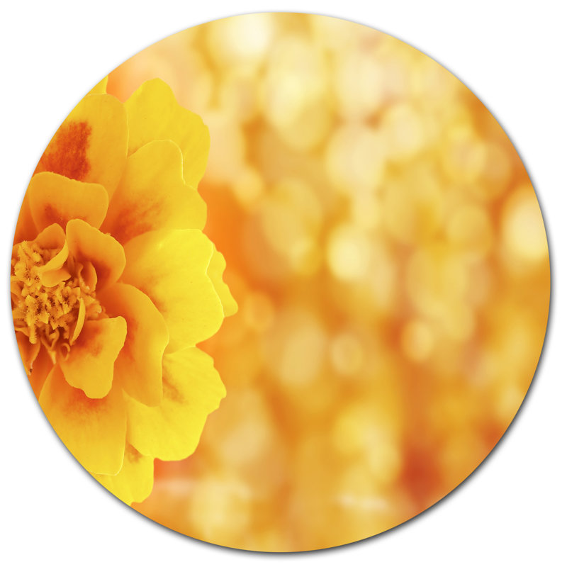 «Beautiful Floral Yellow Fond», reproduction de photo sur métal, H 36 po x l 36 po