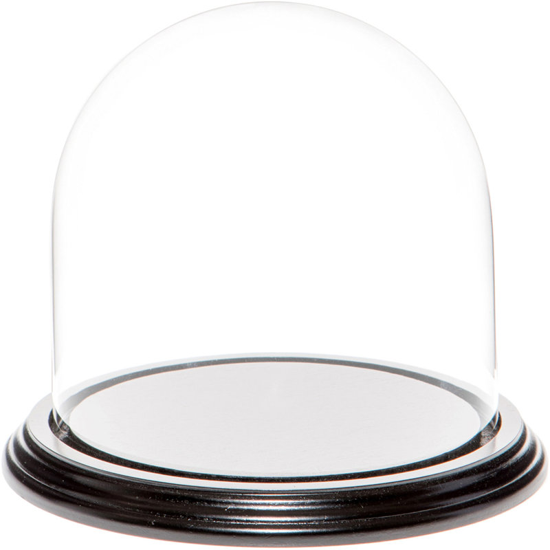 Cloche en verre Vucciria, 5.5" H × 5.5" W × 5.5" D, Base en placage de bois noir