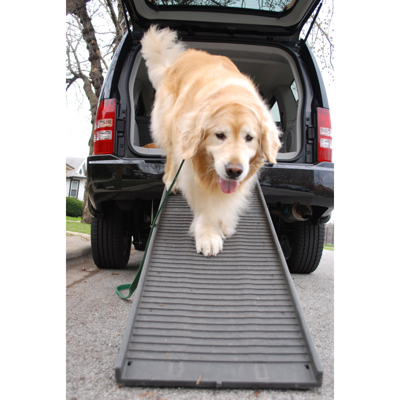 Bly Collapsible Ramp, Graphite