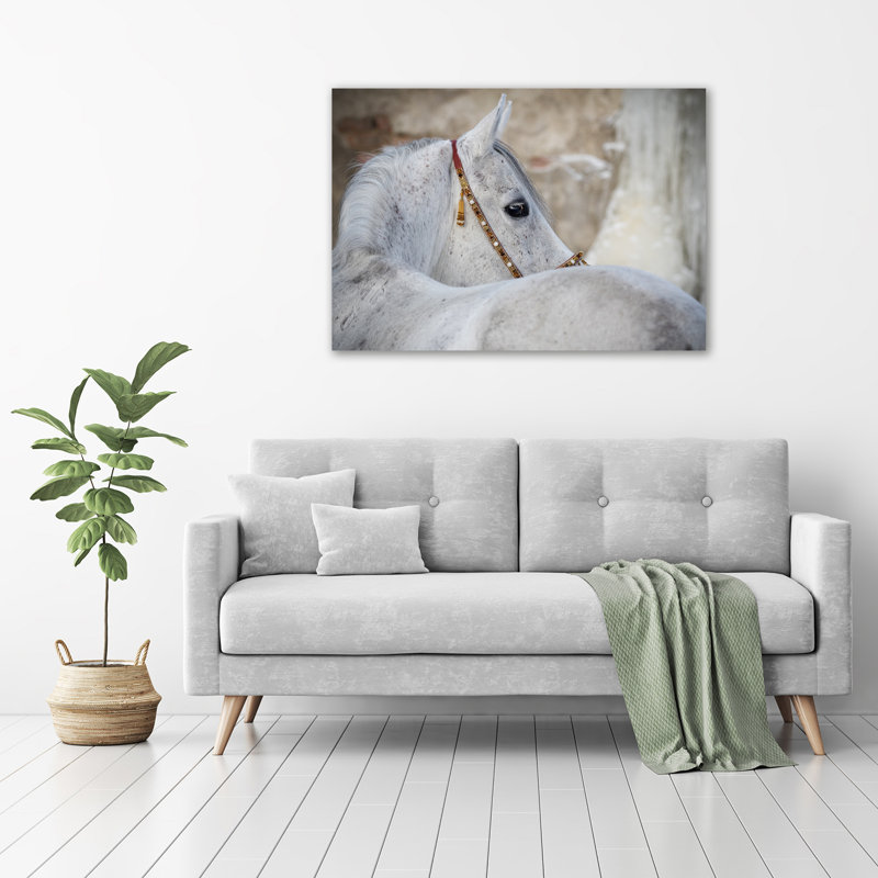 White Arabian Horse - Wrapped Canvas Print