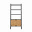 Armoire d'appoint moderne à double fonction Marlowe avec portes en rotin naturel et cadre en bois massif