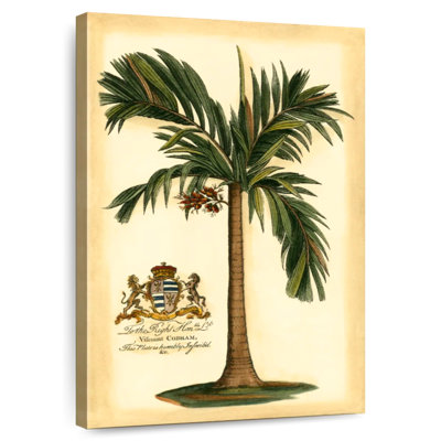 Harnek British Colonial Palm I