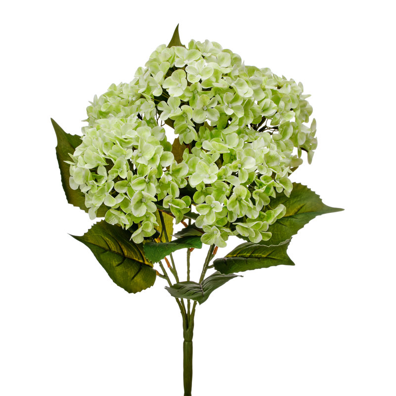 Arrangement d'hortensias, touche naturelle, Vert
