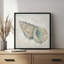 «Seashells II» par Mollie B., reproduction d'art-133722512-133722515-133722517