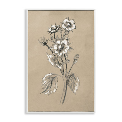 Apple Blossom Drawing June Erica Vess bg-088