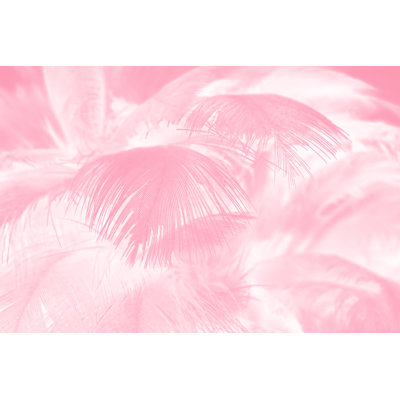 Coral Pink Feather 1 Piece Wrapped Canvas Wall Art