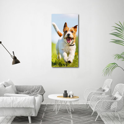 Dog Jack Russell - Wrapped Canvas Print