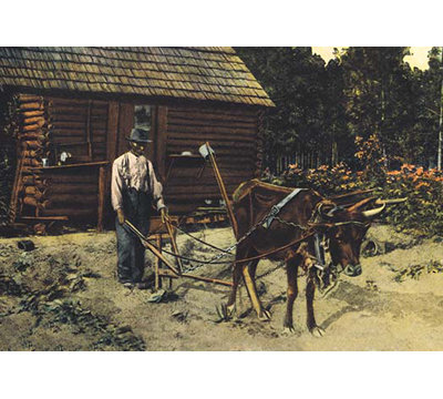 " Ox-Plow "