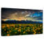 Rayons de soleil Alvord Grand Teton-107670723