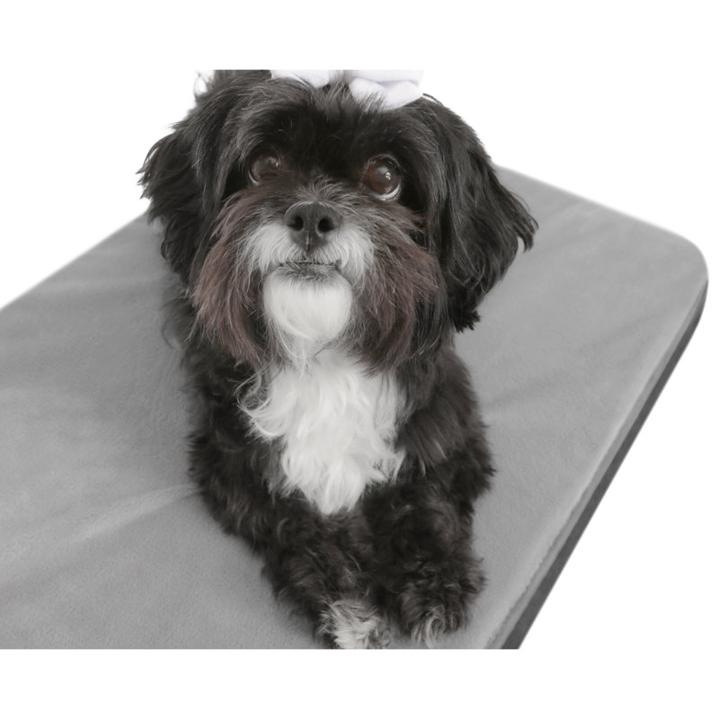Polyester Pet Bed, Extra Large (33.43” W x 43.43" D x 11" H)