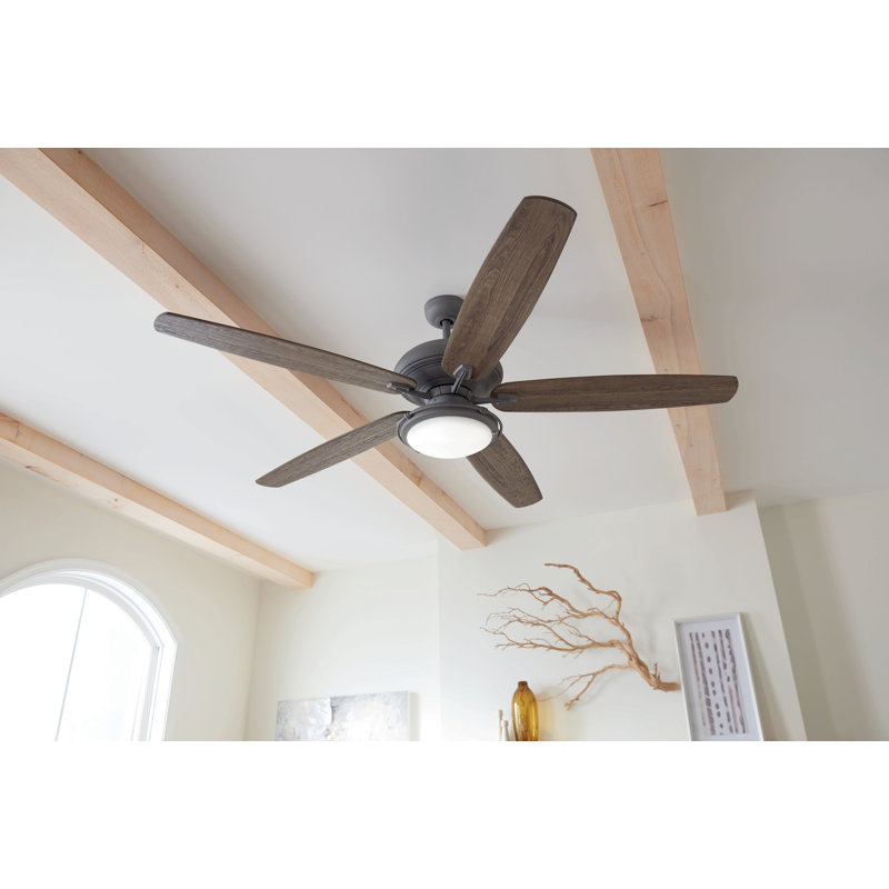 Ventilateur de plafond standard à 5 pales de 72 po avec contrôle mural, Graphite