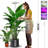 72LEDs Full Spectrum LED Plant Grow Lights, Height Adjustable-106871263
