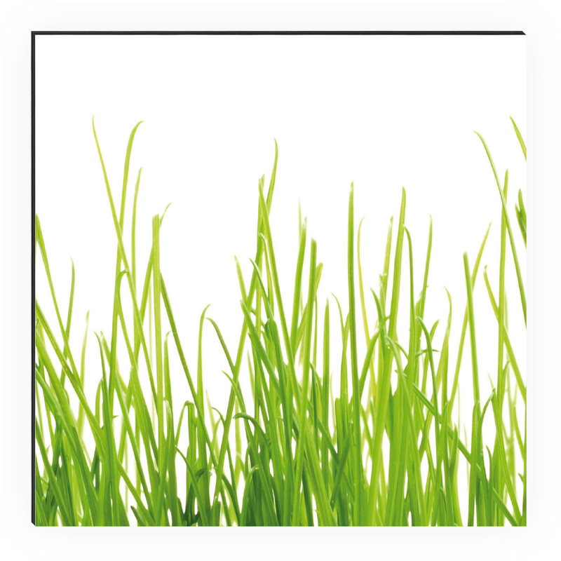 Riney 45cm W x 90cm L Metal Peel and Stick Panel