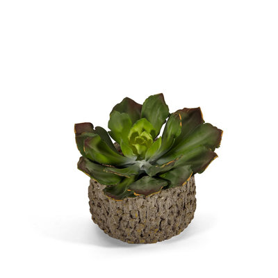 Faux Succulent Plant in Concrete Pot