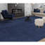 Floral Area Rug in Blue