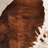 Faux Cowhide 300 Performance Animal Print Rug