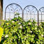Ensemble de 2 treillis de jardin en métal 86,7 "x 19,7" antirouille pour plantes grimpantes
