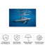 «Pod of Dolphin On Canvas» par Barathieu Gabriel, reproduction-705728722