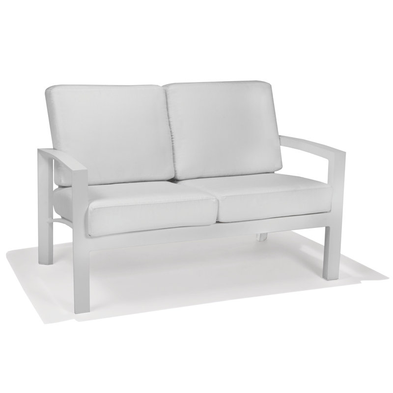 Causeuse d'extérieur en aluminium à coussin 54,5 po Whitlock