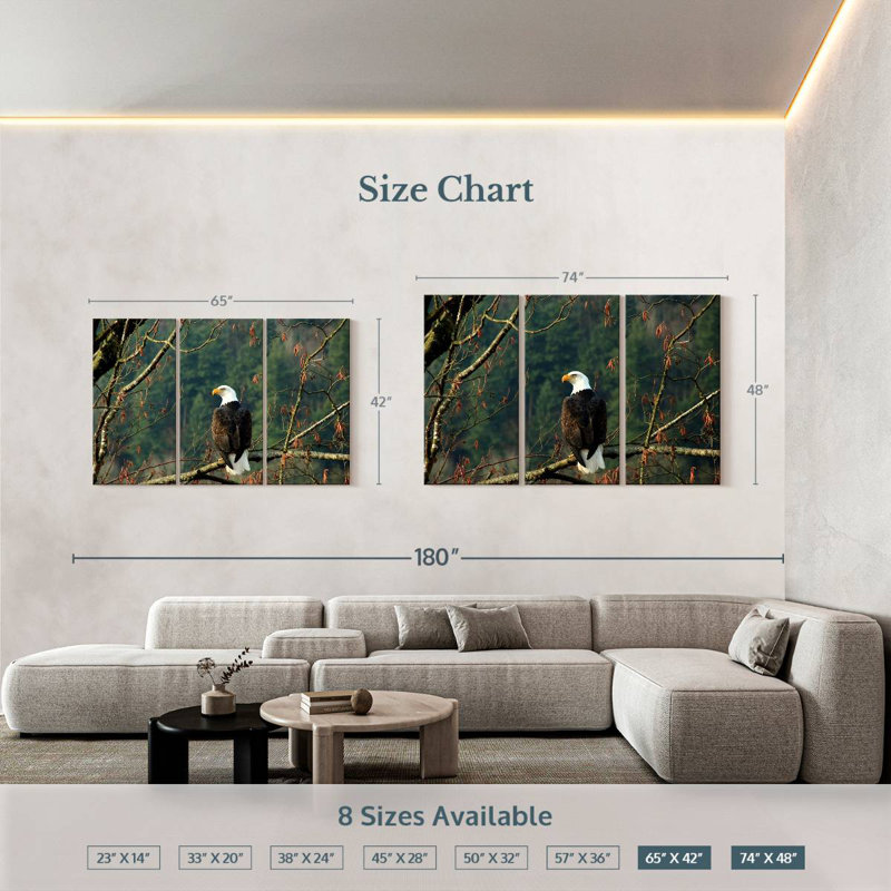 Brampt Perched Canadian Bald Eagle, 42" H x 65" W
