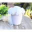 Dissimulateurs de fleurs en pot pivoines-1381601906