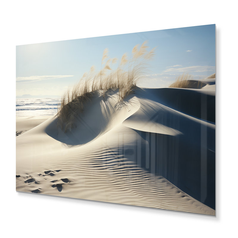 Herbe de plage baignée de sable II, H 12 po x l 20 po x P 1 po