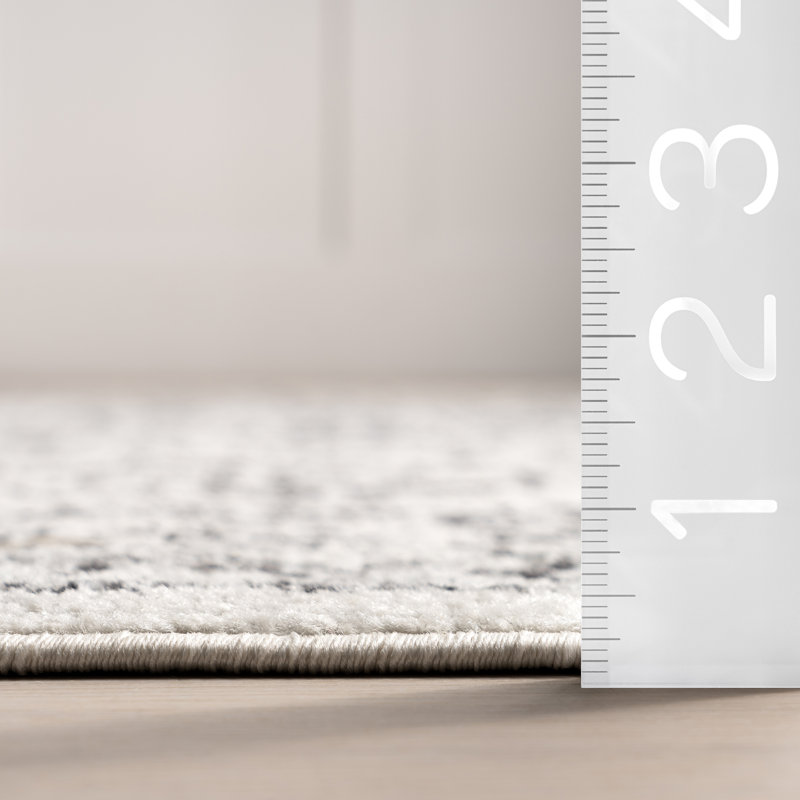 Asmin Medallion Area Rug for Living Room Bedroom Dining Room Kitchen, Grey/Ivory, Square 6'