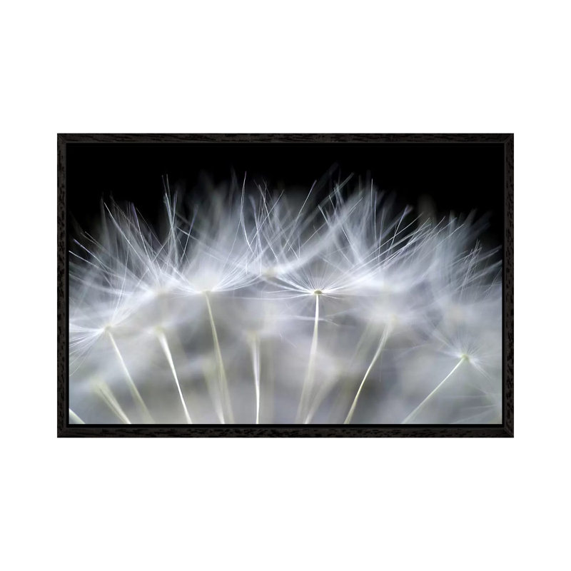 Blow It by Peter Fallberg - Print on Canvas, 66.04 cm H x 45.72 cm W, Black Framed