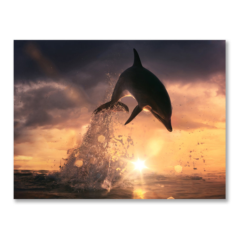 Dolphin Play Print, Plastic/Acrylic, 16" H x 20" W x 1.5" D