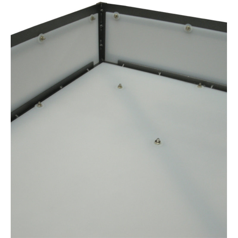 Whitewing 4 - Light