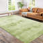 100% Polypropylene Solid Colour Machine Tufted Shag Indoor / Outdoor Area Rug-107787925-107787922