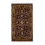 Oriental Area Rug in Gold
