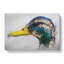 Mallard Duck Moulting In Abstract - Wrapped Canvas Painting-55311232