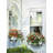 " CANVAS 16 X 12 Floral Window Boxes By David Lloyd Glover Giclee Edition " by David Lloyd Glover