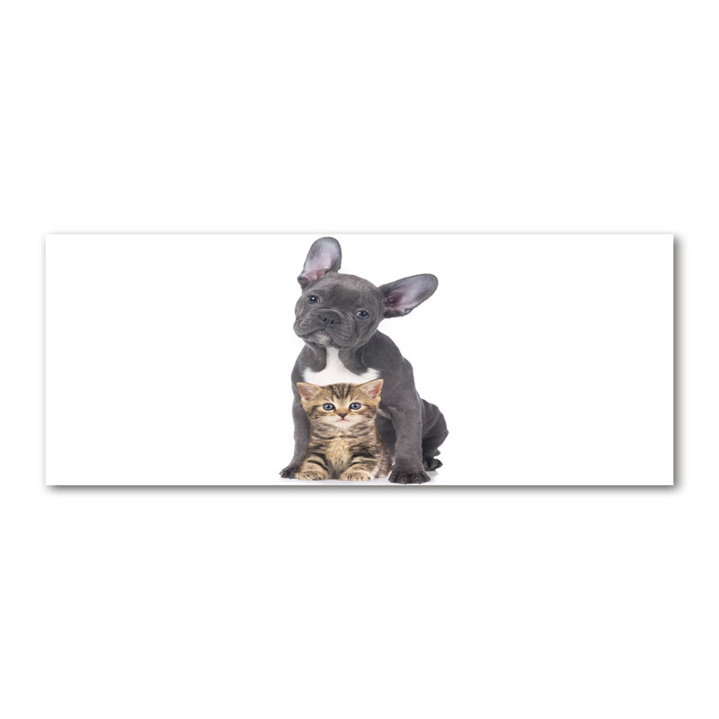 Dog And Cat - Wrapped Canvas Print