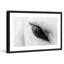 «Trusting Eye» par Marmont Hill - reproduction de photo sur papier encadrée-903529335